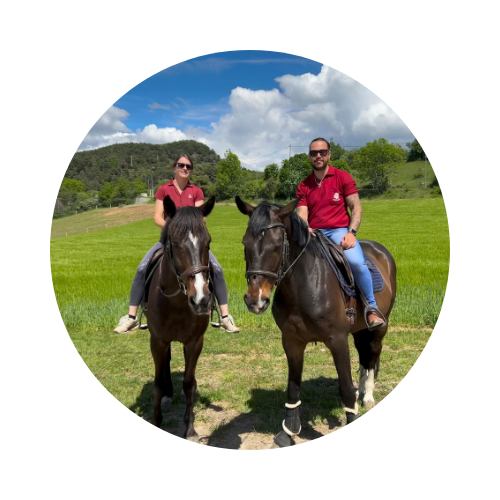 Cours d’équitation et valorisation du cheval
