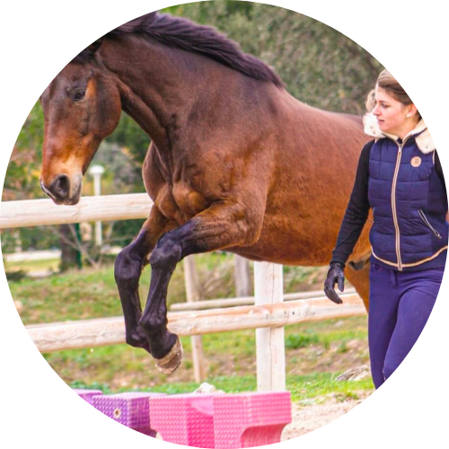 Préparation et passage de Galop FFE – Examens équestres avec Alp’Horse