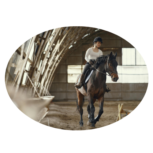Cours particuliers d’équitation sur mesure