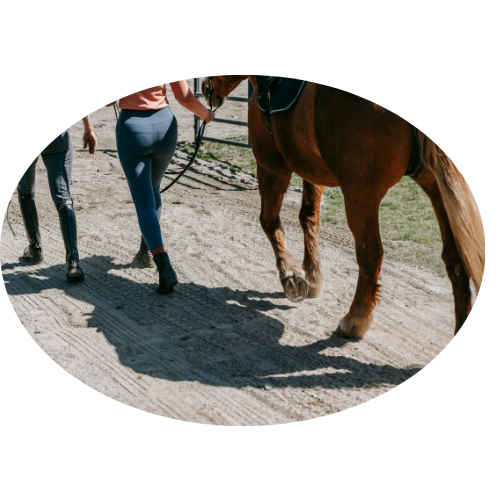 Cours particuliers d’équitation sur mesure