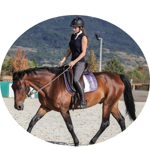 Cours d’équitation avec cheval maître d’école