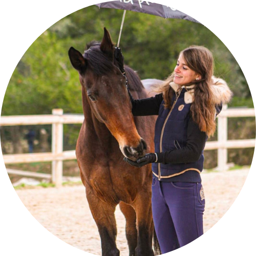 Cours d’équitation avec cheval maître d’école