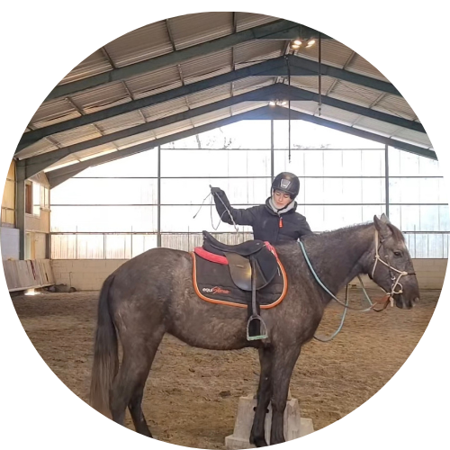 Débourrage du cheval et pension travail
