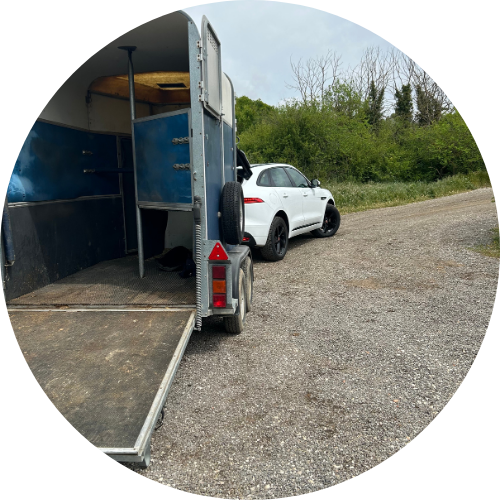 Location de van pour chevaux