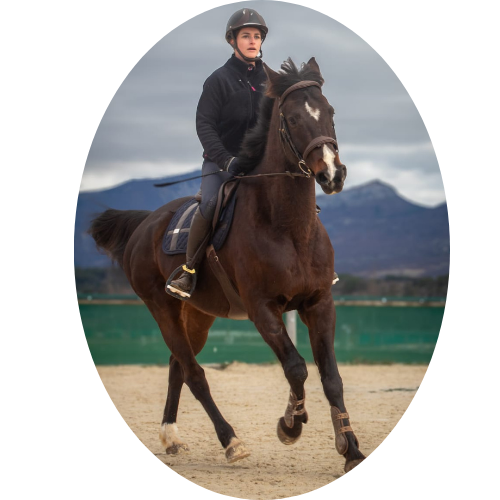 Cours d’équitation et valorisation du cheval