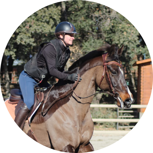 Contact Alp’Horse