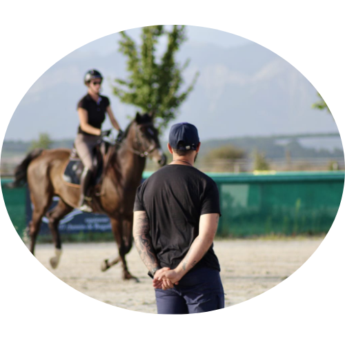 Coaching équestre en concours