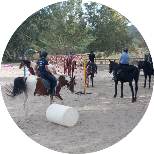 Stage d’équitation à la journée – Formation et perfectionnement