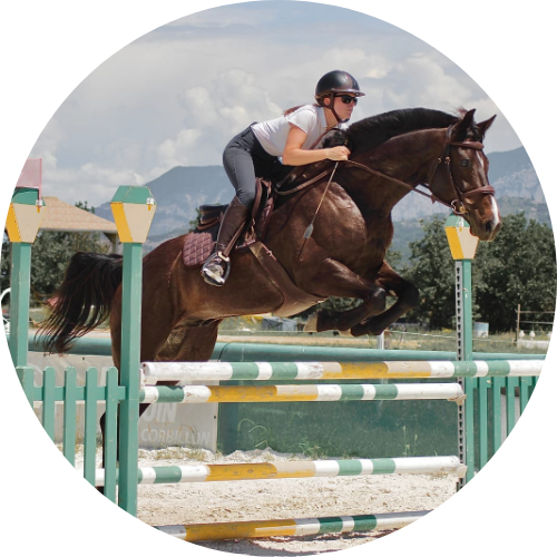 Coaching équestre en concours