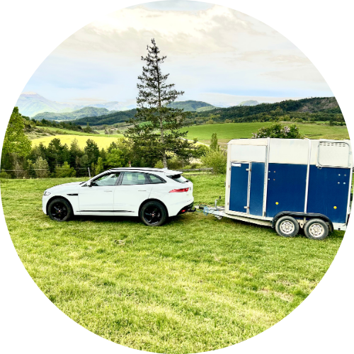 Location de van pour chevaux