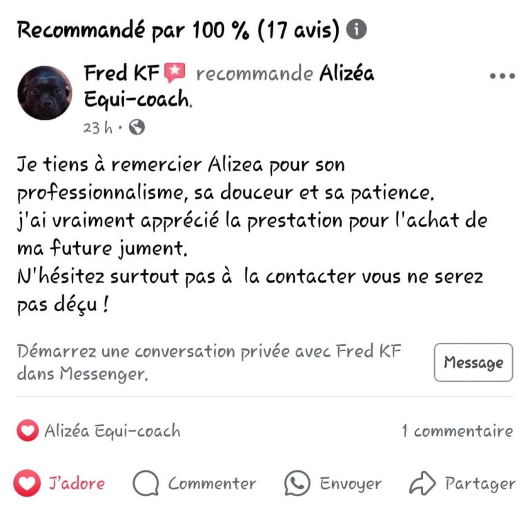 Avis
